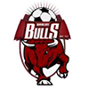 tcf_logo_fc_banyule_city_bulls