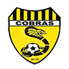 tcf_logo_fc_caulfield_united_cobras